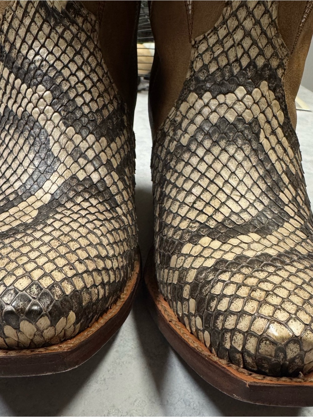 Limited edition Loretta Python - Picture 2 of 6